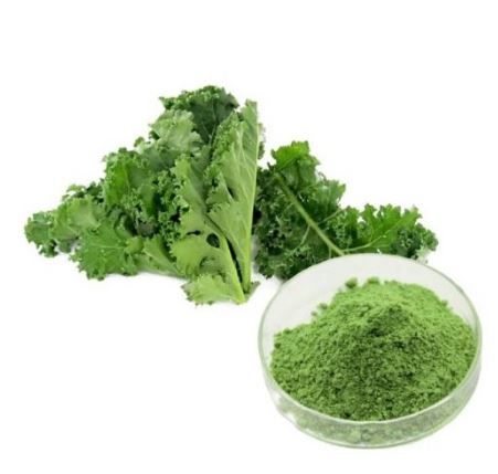 Bulk Kale Powder
