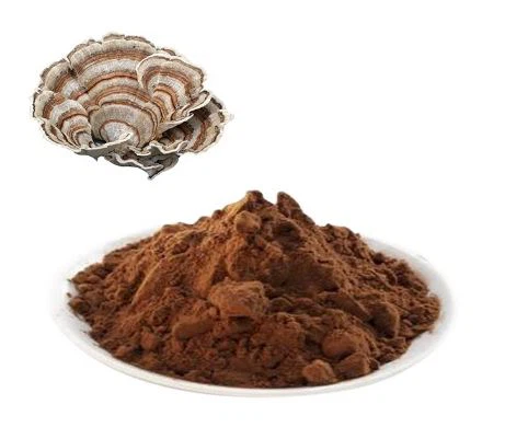 Coriolus Versicolor Mushroom Extract