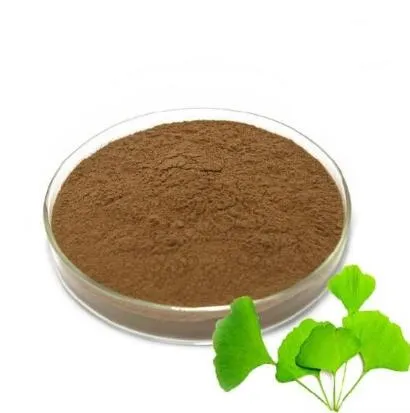 Ginkgo Biloba Powder