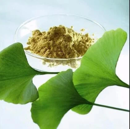 Ginkgo Leaf Powder