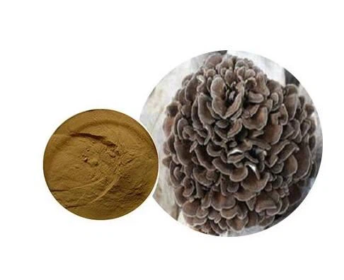 Maitake Mushrooms Extract