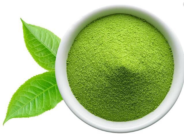 Matcha Green Tea Powder Wholesale