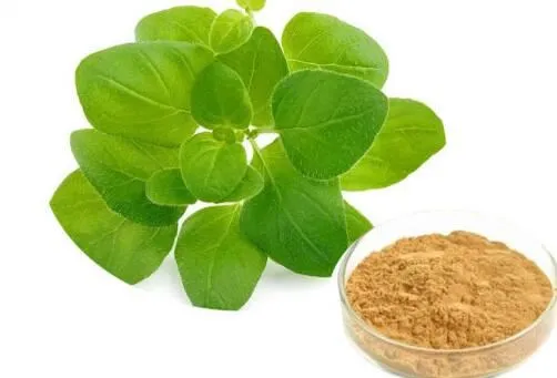 Oregano Leaf Extract