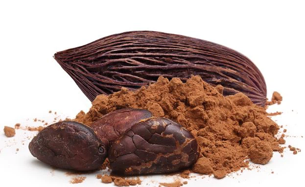 Organic Cocoa Powder