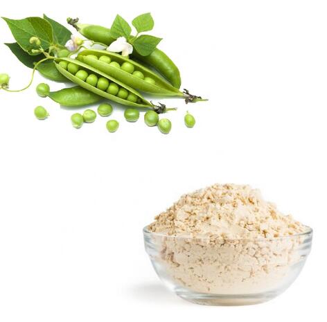 Organic Pea Protein Powder