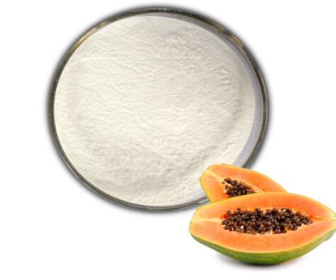 Papain Enzyme