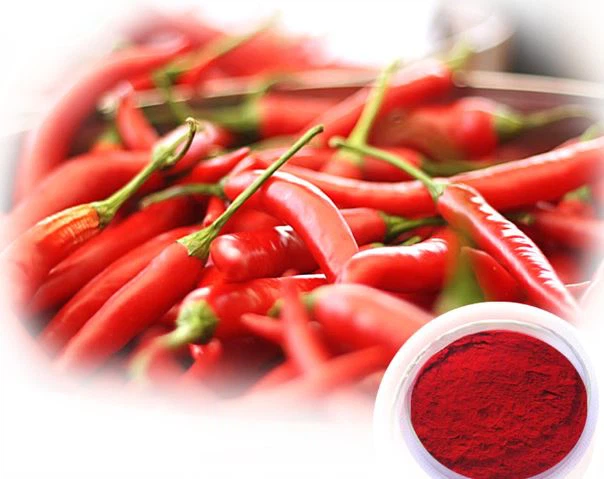Paprika Extract