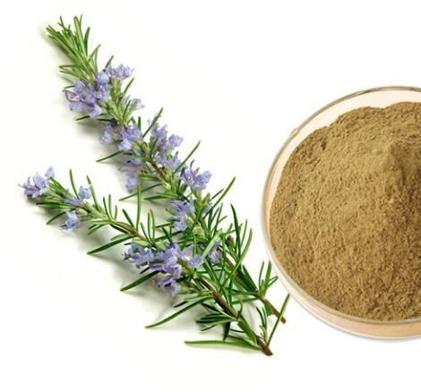 Rosemary Extract