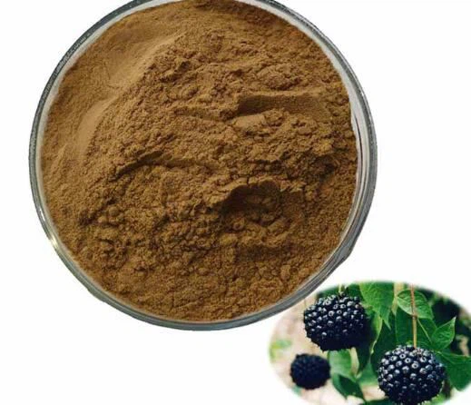 Siberian Ginseng Powder