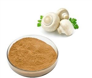 Agaricus Bisporus Extract