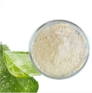 Aloe Vera Powder 200X