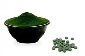 Bulk Chlorella
