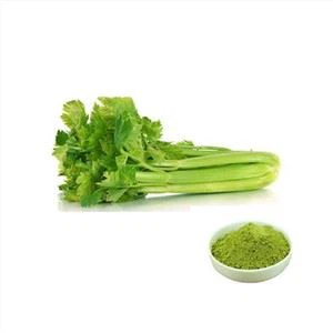 Dried Celery Powder