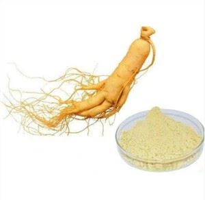Ginseng Root Extract