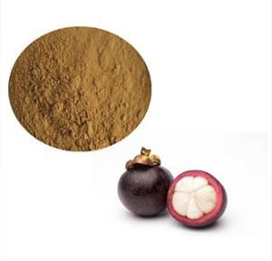 Mangosteen Fruit Juice Powder