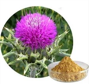 Milk Thistle Silymarin