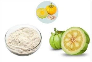 Organic Garcinia Cambogia Powder