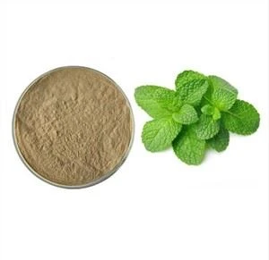 Peppermint Extract Powder