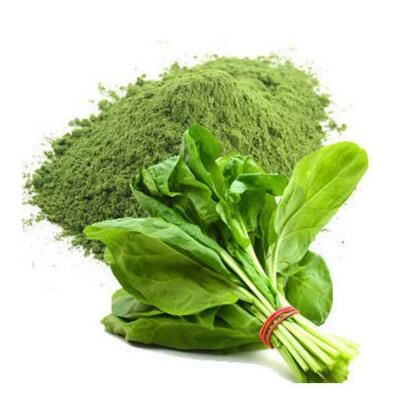 Spinach Powder Bulk