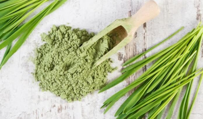 Wheatgrass Juice Powder