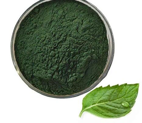 Wholesale Chlorophyll