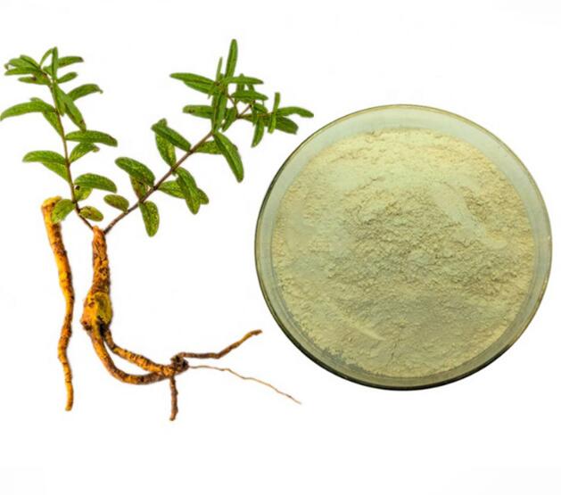 Chinese Skullcap Extract