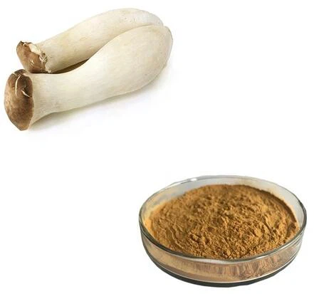 Coprinus Comatus Extract
