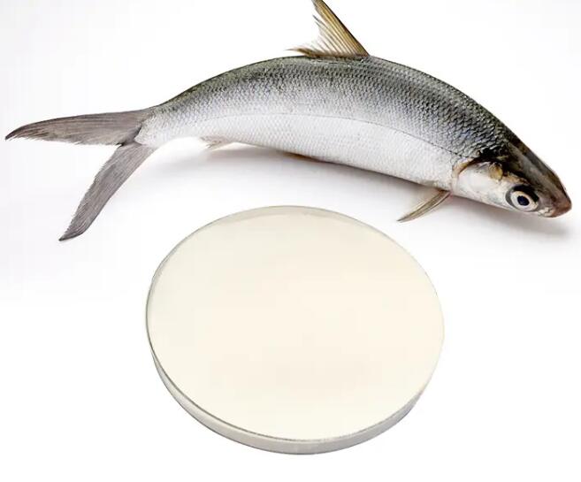 Fish Collagen Peptides