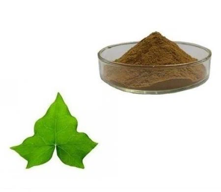 Ivy Leaf Extract