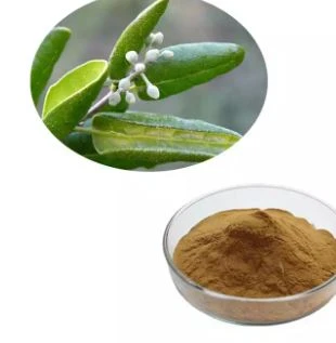 Peumus Boldus Leaf Extract