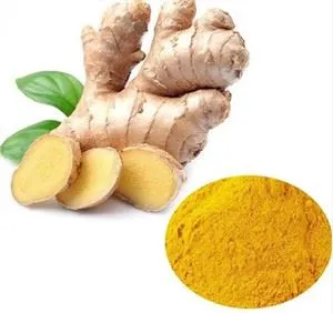 Ginger Extract Gingerols