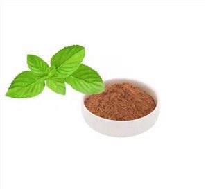 Mint Leaf Extract