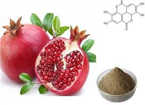 Pomegranate Extract Ellagic Acid