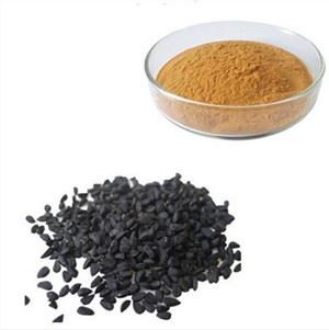 Thymoquinone Extract From Nigella Sativa