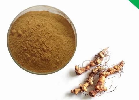 Solomon's Seal Extract