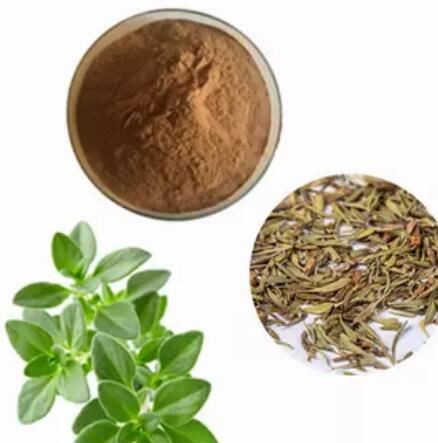 Thymus Serpyllum Extract
