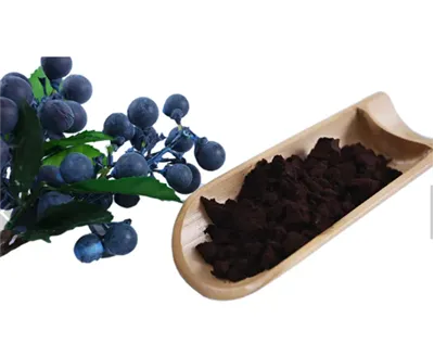 Bilberry Anthocyanins